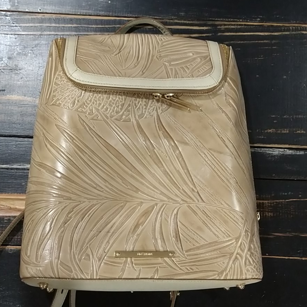 Beautiful Darcy Havana Brahmin leather backpack